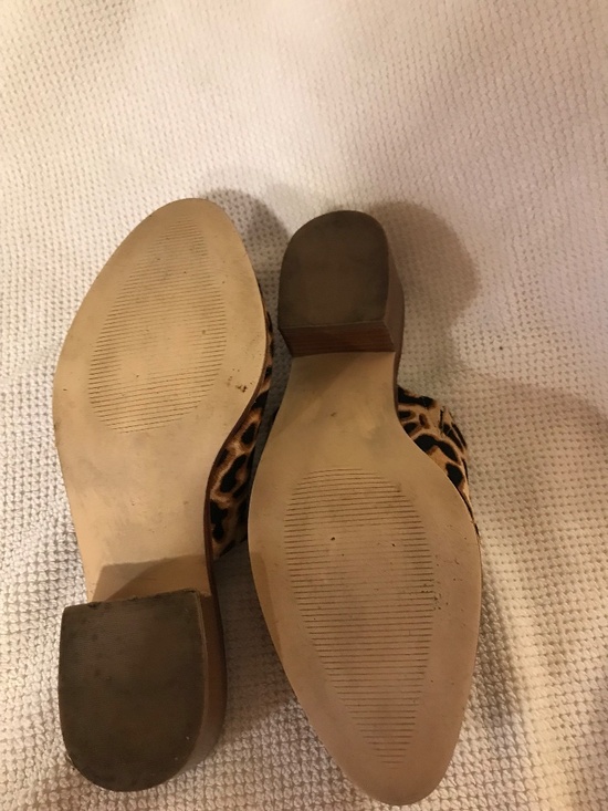 Talbot mules - Picture 2 of 5